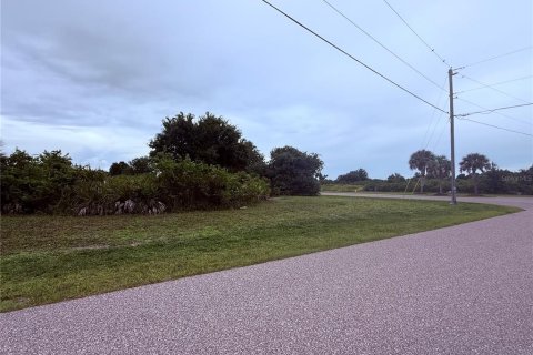 Land in Rotonda, Florida № 2403680 - photo 3