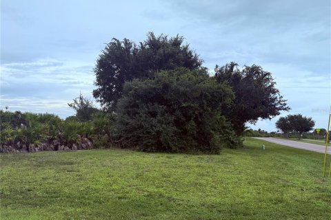 Land in Rotonda, Florida № 2403680