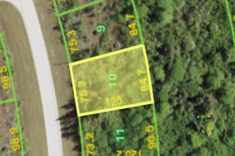 Land in Port Charlotte, Florida № 2160340