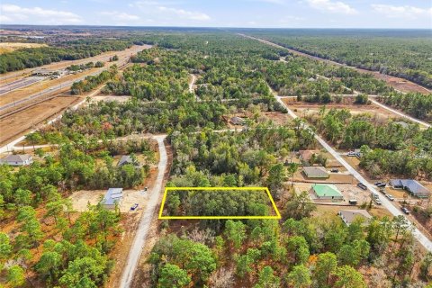 Land in Weeki Wachee, Florida № 2160998 - photo 6