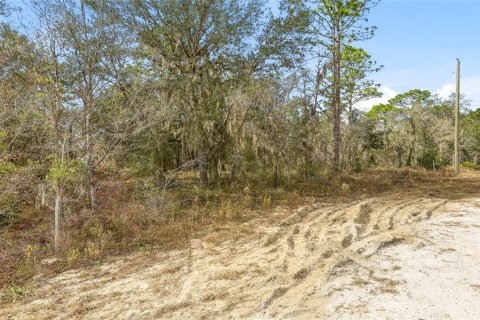Land in Weeki Wachee, Florida № 2160998 - photo 3