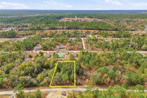 Land in Weeki Wachee, Florida № 2160998 - photo 7
