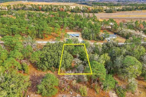 Land in Weeki Wachee, Florida № 2160998 - photo 13