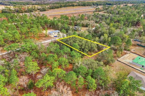 Land in Weeki Wachee, Florida № 2160998 - photo 12