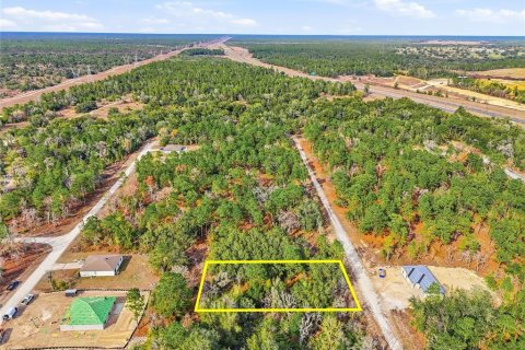 Land in Weeki Wachee, Florida № 2160998 - photo 8