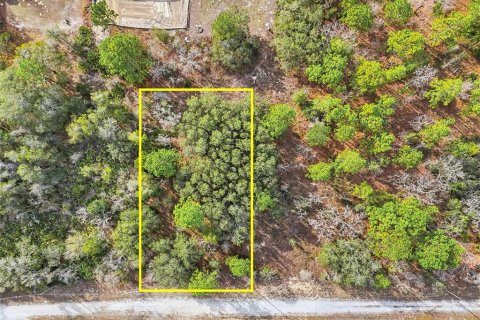 Land in Weeki Wachee, Florida № 2160998 - photo 9