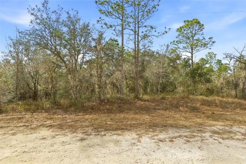 Land in Weeki Wachee, Florida № 2160998 - photo 4