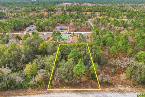 Land in Weeki Wachee, Florida № 2160998
