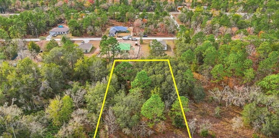 Land in Weeki Wachee, Florida № 2160998