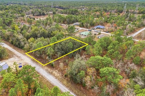 Land in Weeki Wachee, Florida № 2160998 - photo 11