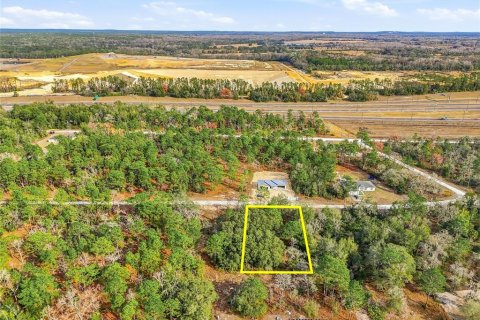 Land in Weeki Wachee, Florida № 2160998 - photo 2