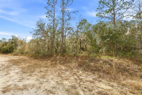 Land in Weeki Wachee, Florida № 2160998 - photo 5