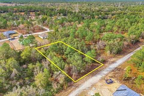 Land in Weeki Wachee, Florida № 2160998 - photo 10