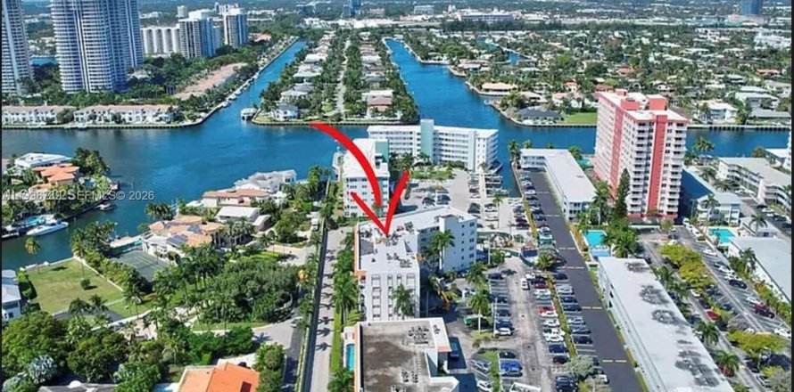 Condo à Hallandale Beach, Floride, 1 chambre  № 2063388