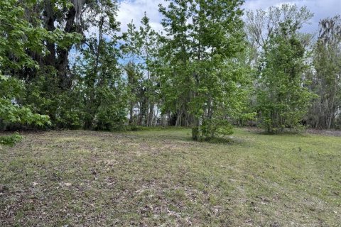 Land in Lake Wales, Florida № 1781211 - photo 16