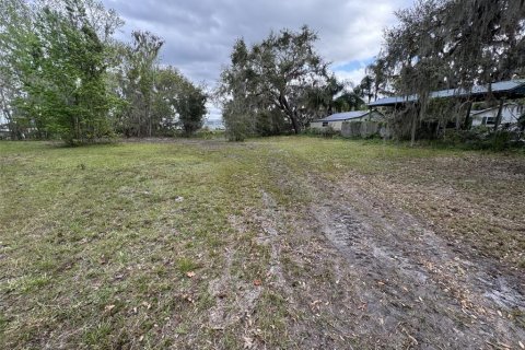 Land in Lake Wales, Florida № 1781211 - photo 17