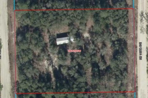 Land in Williston, Florida № 2227877