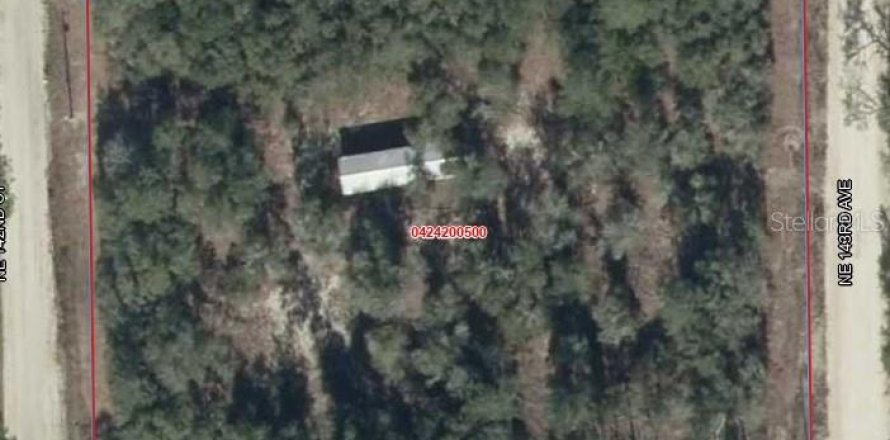 Terrain à Williston, Floride № 2227877