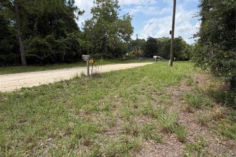Terrain à vendre à Williston, Floride № 2227877 - photo 5