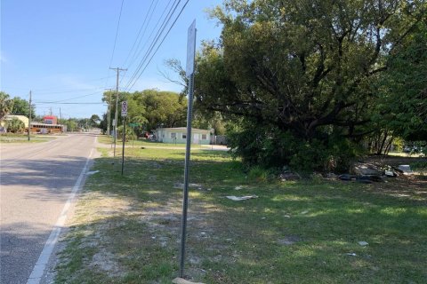 Land in Tampa, Florida № 513738 - photo 7