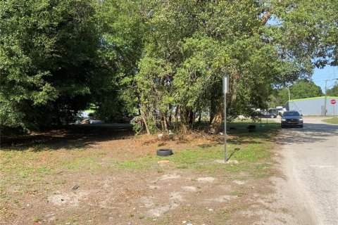 Land in Tampa, Florida № 513738 - photo 4