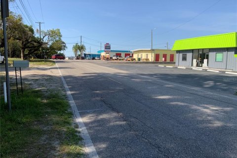 Land in Tampa, Florida № 513738 - photo 5