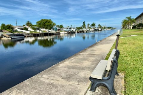 Condo in New Port Richey, Florida, 2 bedrooms  № 1901967 - photo 23