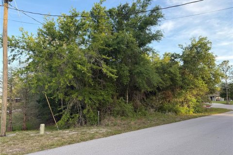 Land in Lake Wales, Florida № 2165517