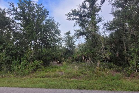 Land in Port Charlotte, Florida № 2160884 - photo 2