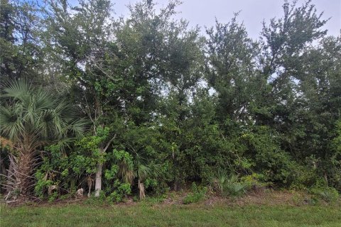 Land in Port Charlotte, Florida № 2160884