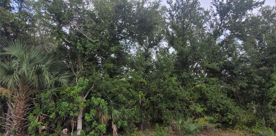 Land in Port Charlotte, Florida № 2160884