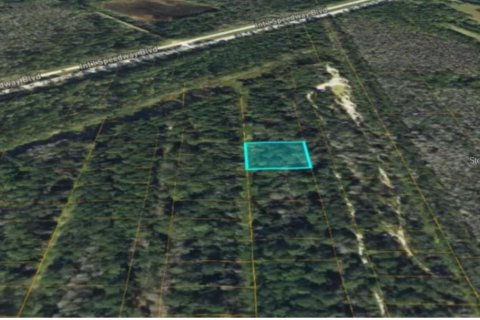 Land in DeLand, Florida № 2353354