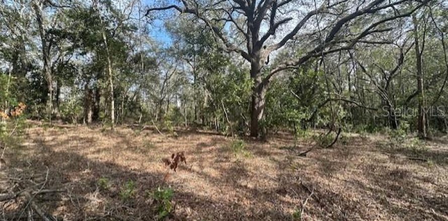 Land in Bell, Florida № 1511819