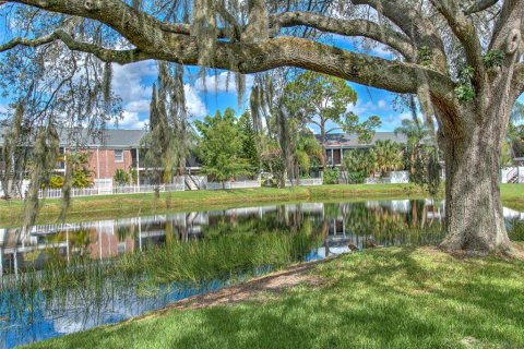 Condo in Tampa, Florida, 1 bedroom  № 1884433 - photo 6