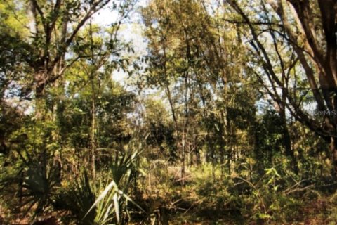 Land in Williston, Florida № 2163886