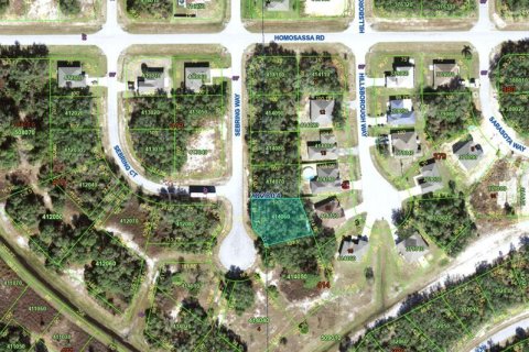 Land in Poinciana, Florida № 2165601 - photo 4