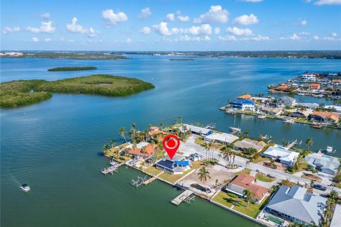 Villa ou maison à vendre à Treasure Island, Floride: 2 chambres, 173.45 m2 № 1436633 - photo 13