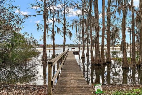 Land in Clermont, Florida № 1901339 - photo 11