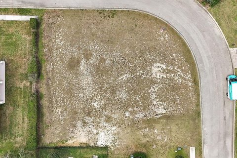 Land in Clermont, Florida № 1901339 - photo 8