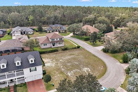 Land in Clermont, Florida № 1901339 - photo 7