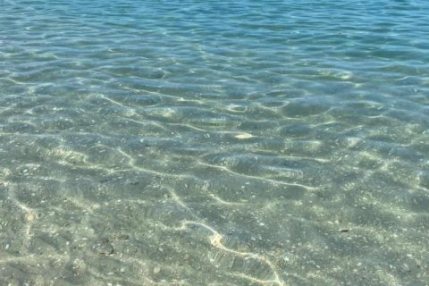 Снять в аренду коммерческую недвижимость в Норт-Палм-Бич, Флорида 2 спальни, 67.82м2, № 888485 - фото 1