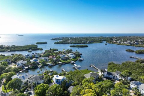 Casa en venta en Palm Harbor, Florida, 5 dormitorios, 278.99 m2 № 1523626 - foto 1