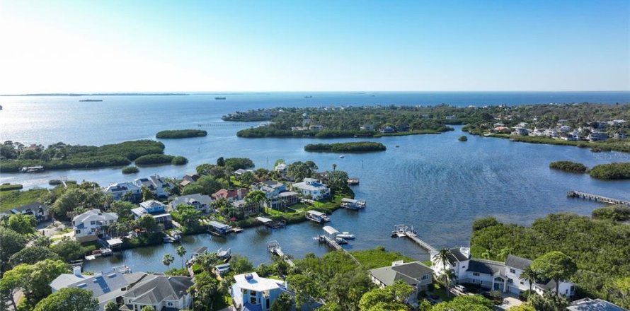 Casa en Palm Harbor, Florida 5 dormitorios, 278.99 m2 № 1523626
