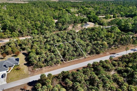 Land in Lehigh Acres, Florida № 2160995 - photo 2