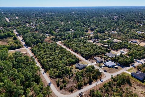 Land in Lehigh Acres, Florida № 2160995 - photo 6