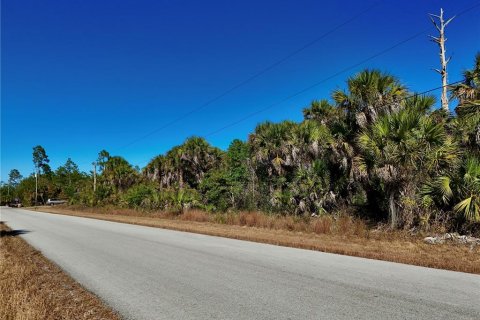 Land in Lehigh Acres, Florida № 2160995 - photo 11