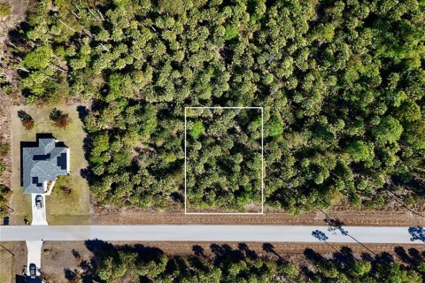 Land in Lehigh Acres, Florida № 2160995