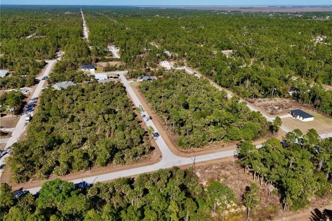 Land in Lehigh Acres, Florida № 2160995 - photo 3