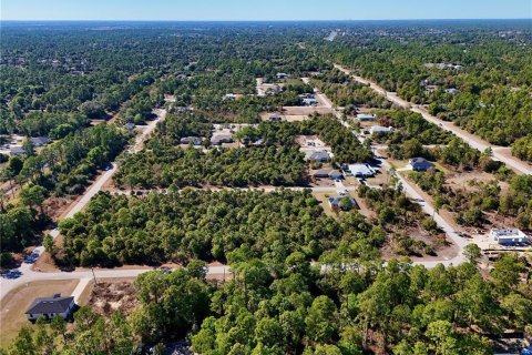 Land in Lehigh Acres, Florida № 2160995 - photo 4