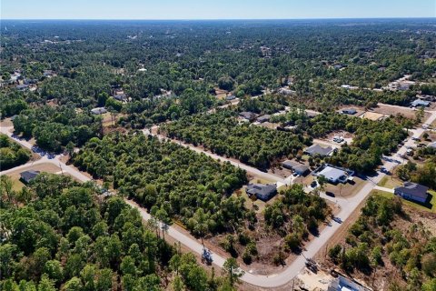 Land in Lehigh Acres, Florida № 2160995 - photo 5